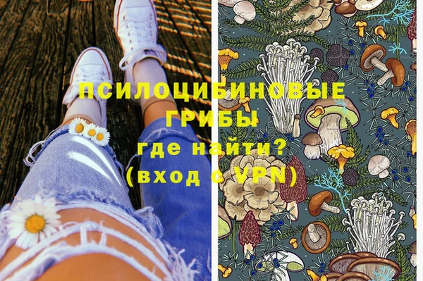 молекула духа Верея