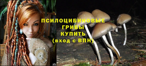 дживик Зеленодольск