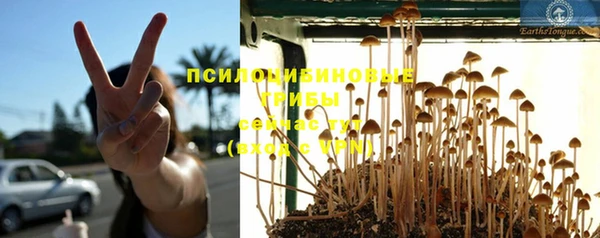 мдпв Верхний Тагил